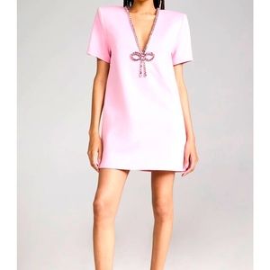 Ladies Pink Dress, medium
